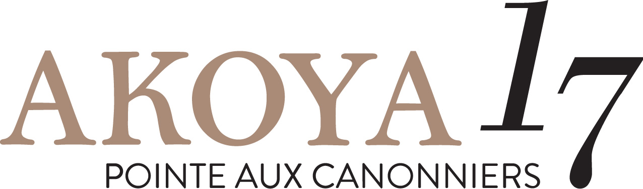 akoya17-logo-01-01